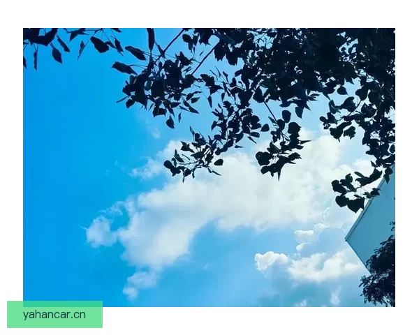 天天一：点亮生活的无限可能，从“天天”开始的美好一天